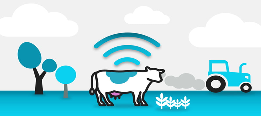 Dairy Farm-Cattle Management System